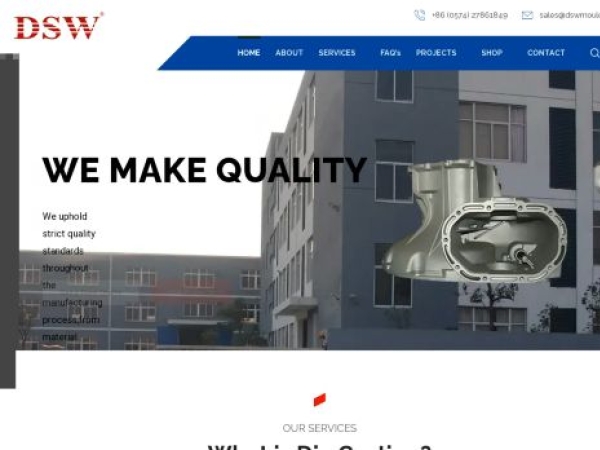 dswdiecasting.com
