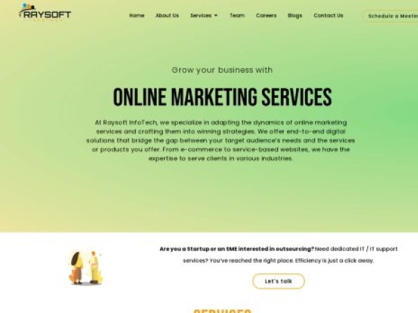 raysoftinfotech.com