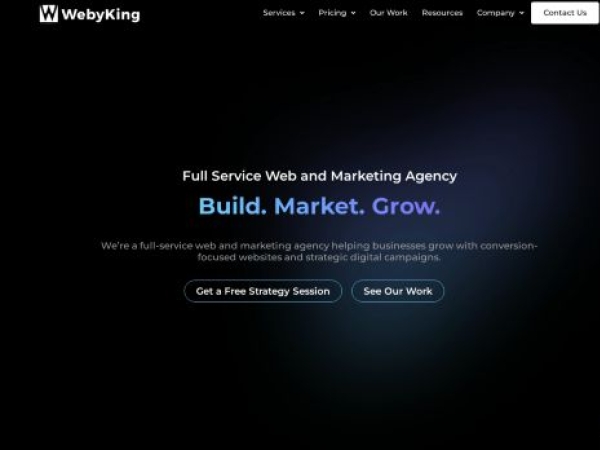 webyking.com