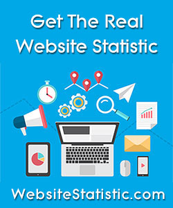 Website Statistics